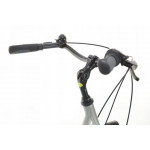 Mestský bicykel 28" Lavida Mahbike s nízkym nástupom hliníkový rám: 18" Strieborná